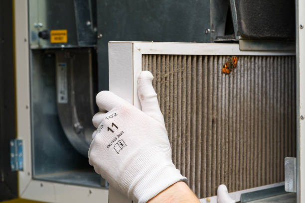 Best Home Air Vent Cleaning  in Gila Bend, AZ